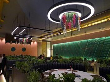 Ring lights with hanging flowers